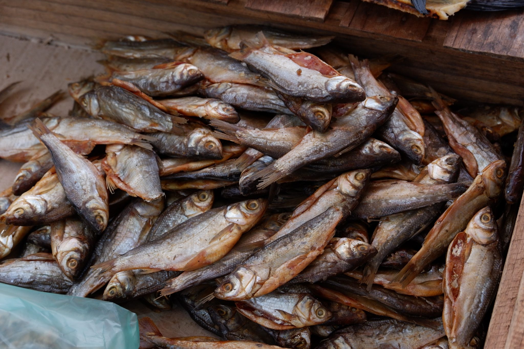 Sippli Fish Salted Fish Supply in Indonesia