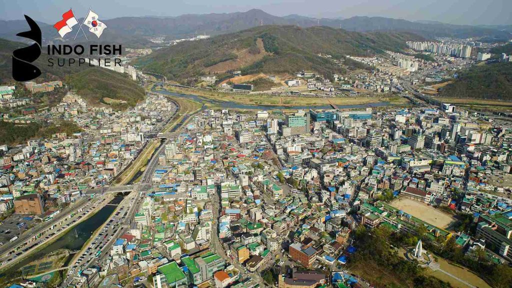 Yellowfin Tuna Supplier in Gyeonggi Province