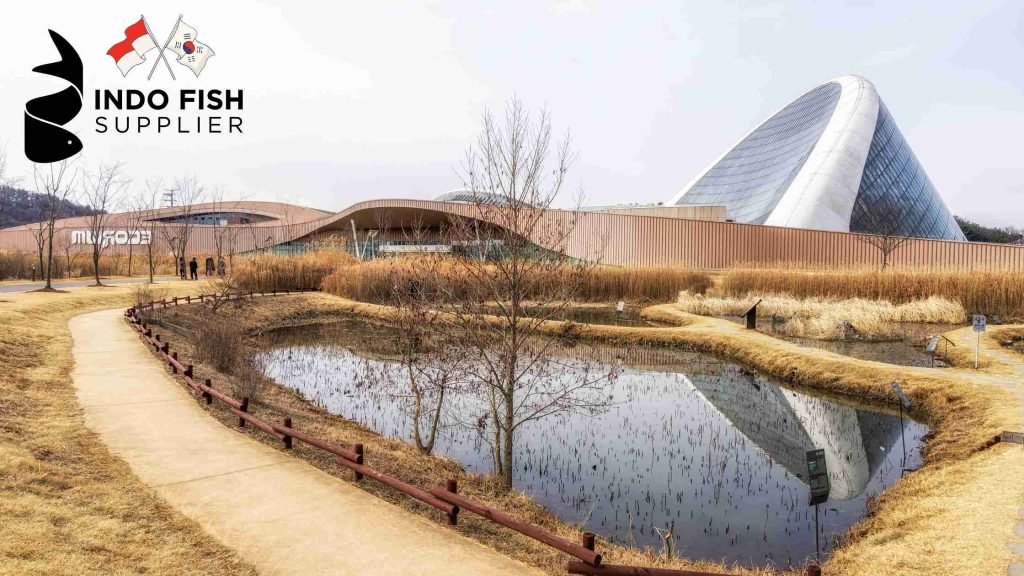 충청 참치 납품업체 Yellowfin Tuna Supplier in Chungcheong Province