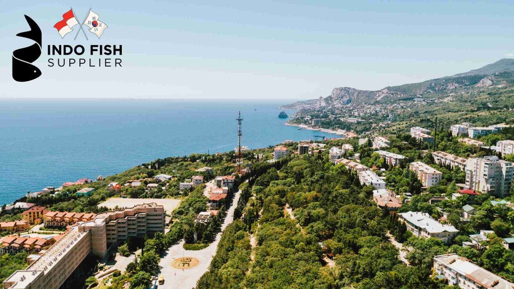 Fish Supplier In gangwon, Tuna supplier gangwon