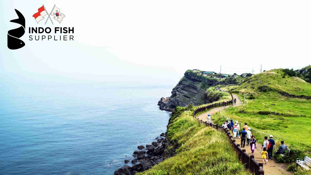 Yellowfin Tuna Supplier in Jeju Island