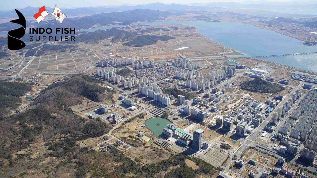 Yellowfin Tuna Supplier in Jeolla Province